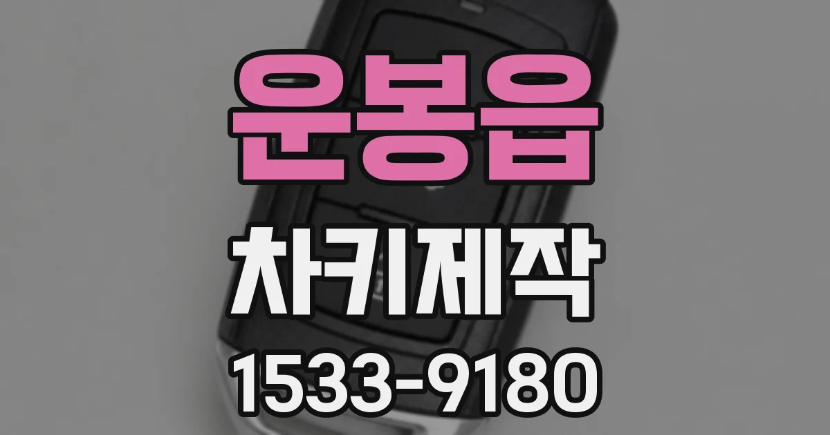 운봉읍 차키제작