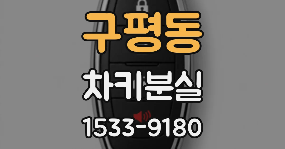 구평동 차키분실