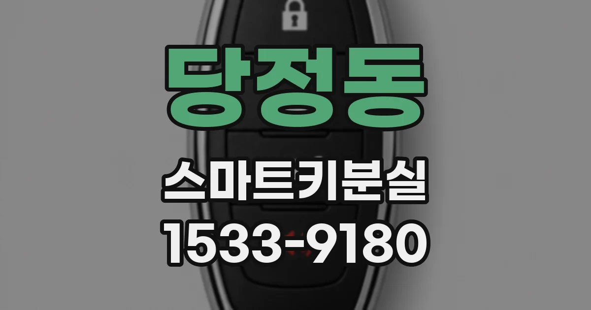 당정동 스마트키분실