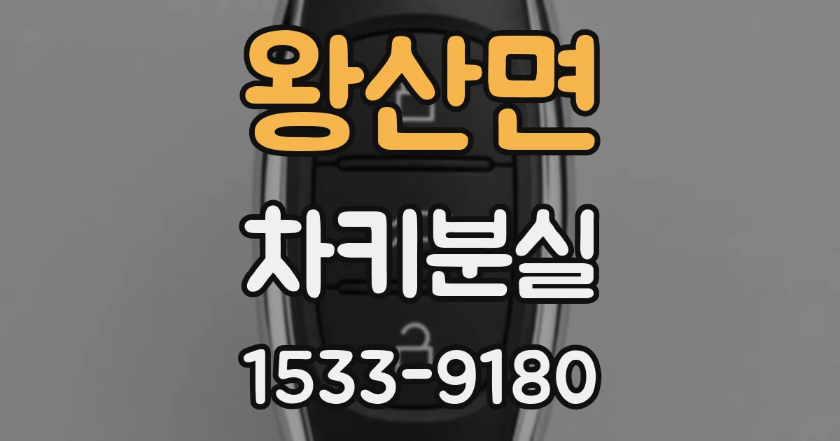 왕산면 차키분실