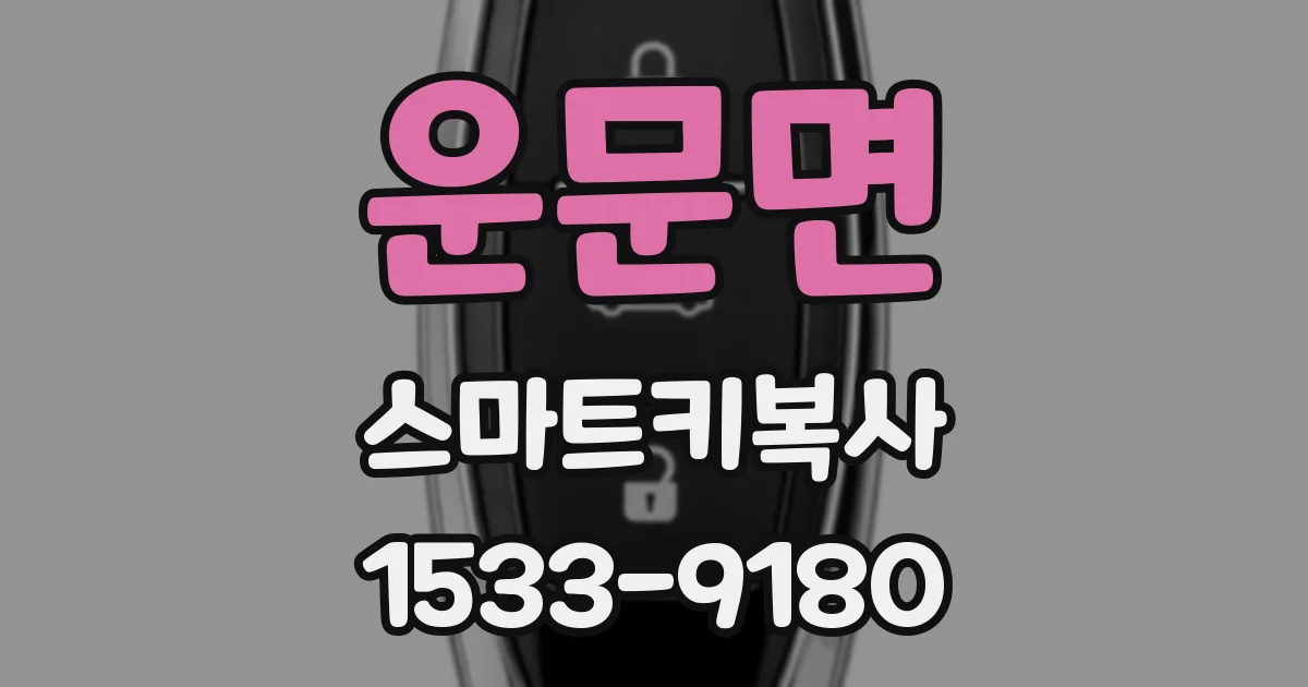 운문면 스마트키복사