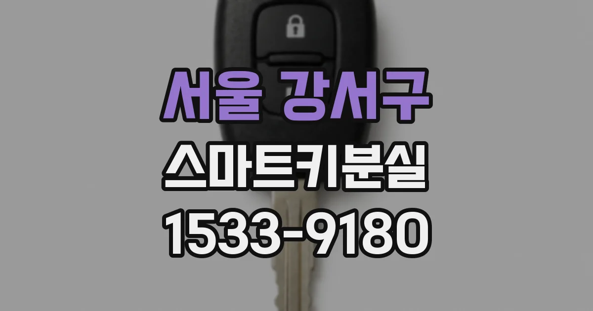 서울 강서구 스마트키분실