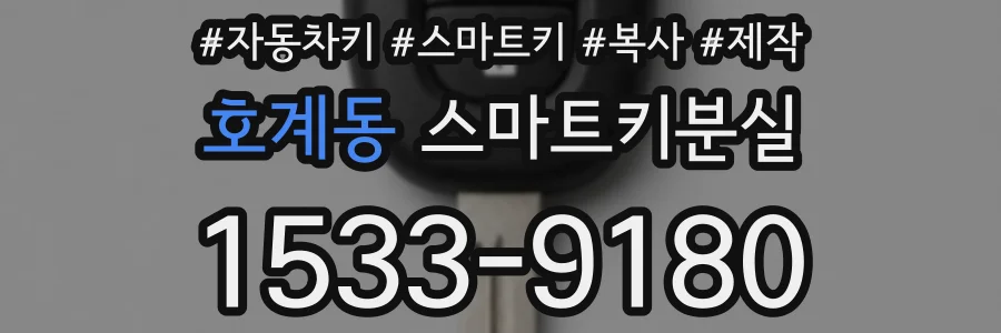 호계동 스마트키분실