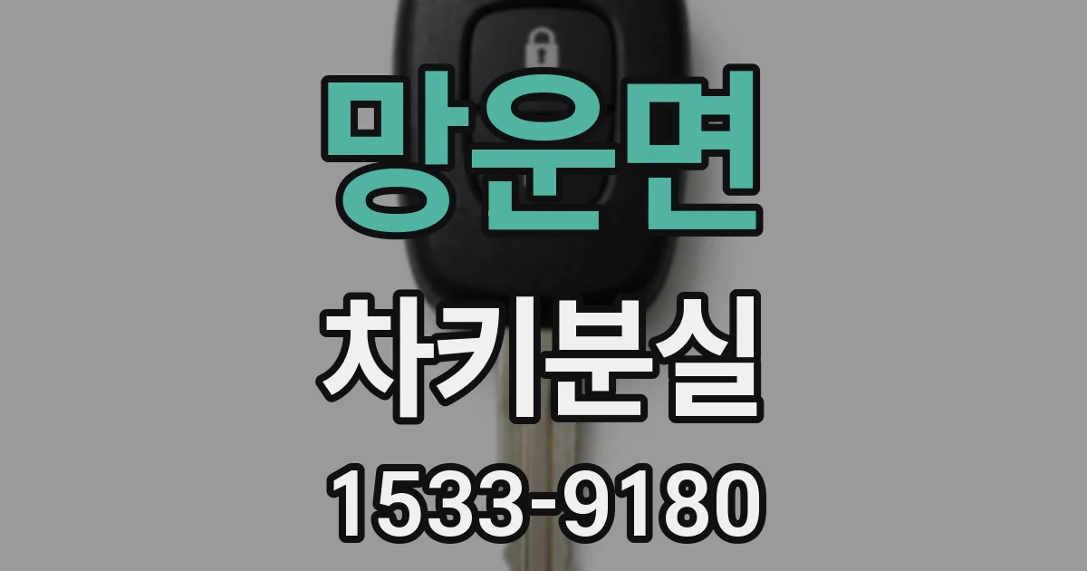 망운면 차키분실