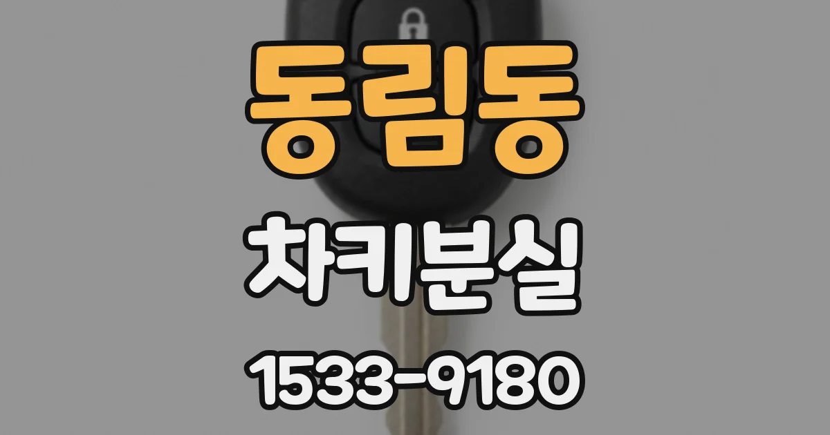 동림동 차키분실