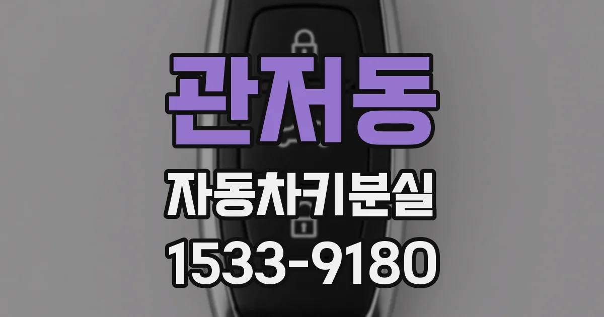 관저동 자동차키분실
