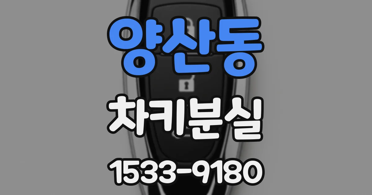양산동 차키분실
