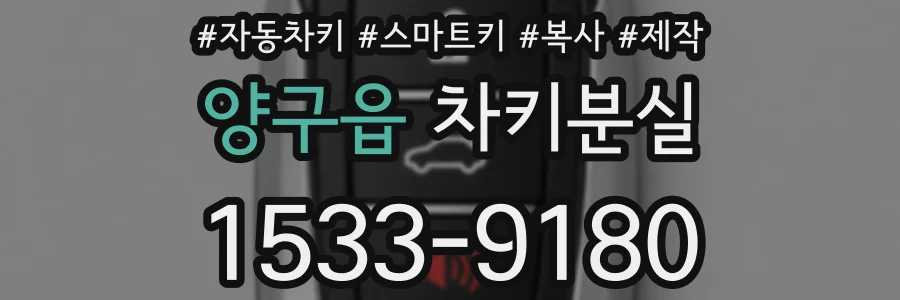 양구읍 차키분실