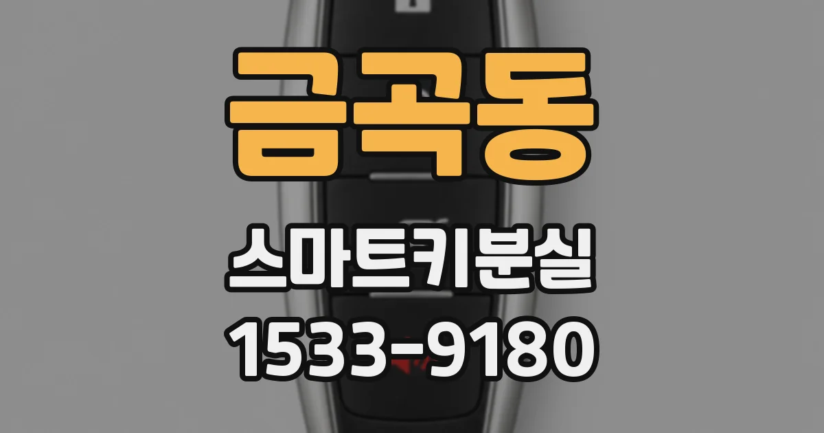 금곡동 스마트키분실
