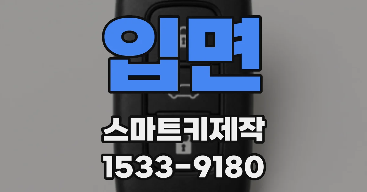 입면 스마트키제작