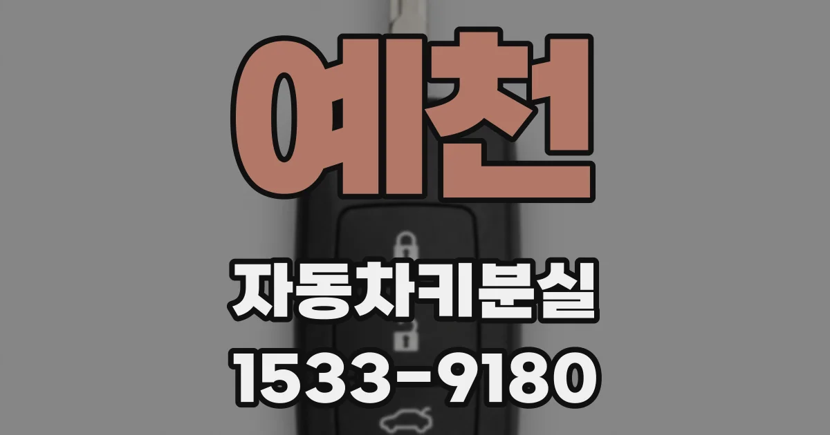 예천 자동차키분실