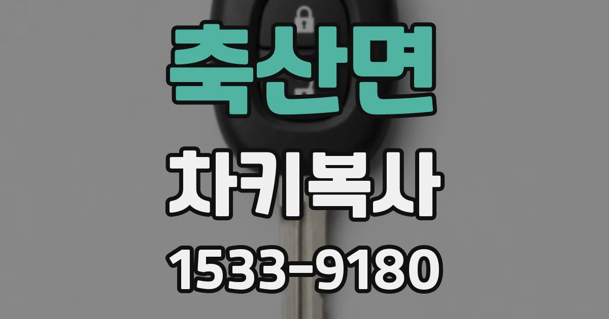 축산면 차키복사