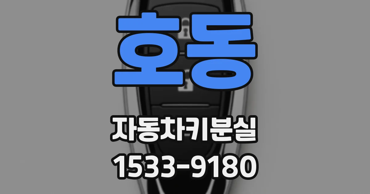 호동 자동차키분실