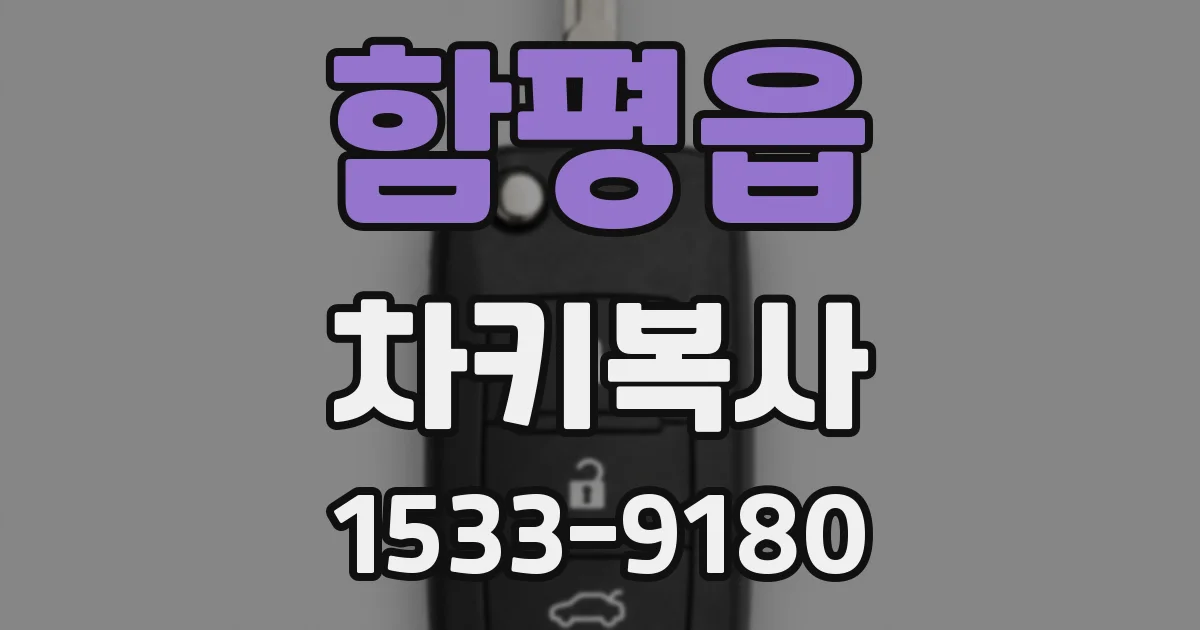 함평읍 차키복사