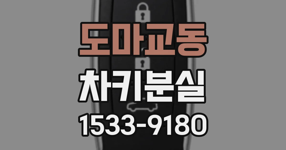 도마교동 차키분실