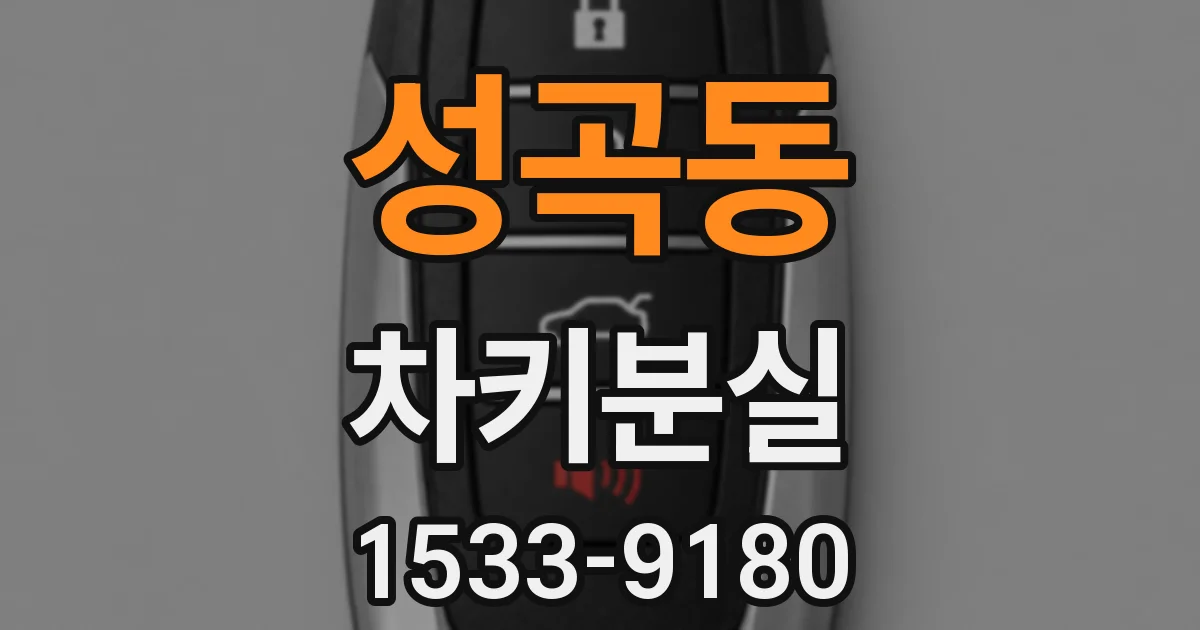 성곡동 차키분실