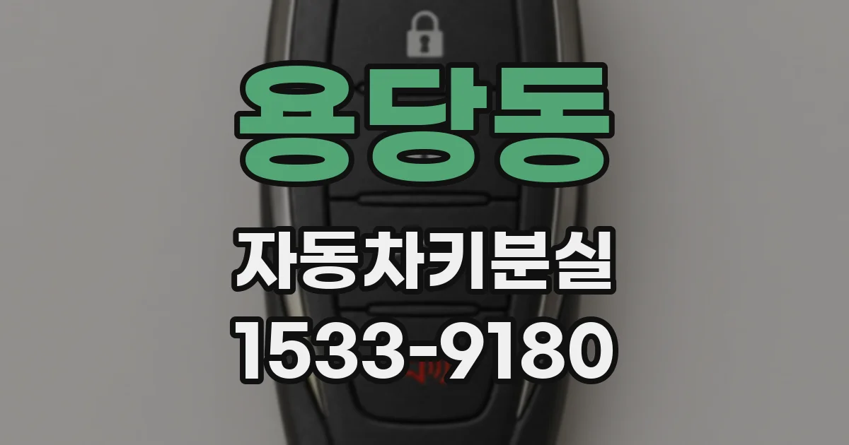 용당동 자동차키분실