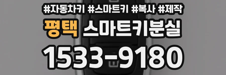 평택 스마트키분실