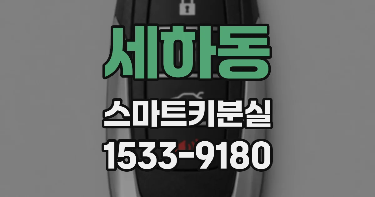 세하동 스마트키분실