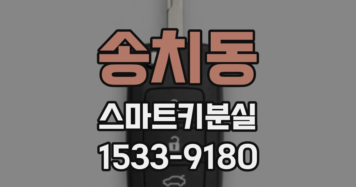 송치동 스마트키분실