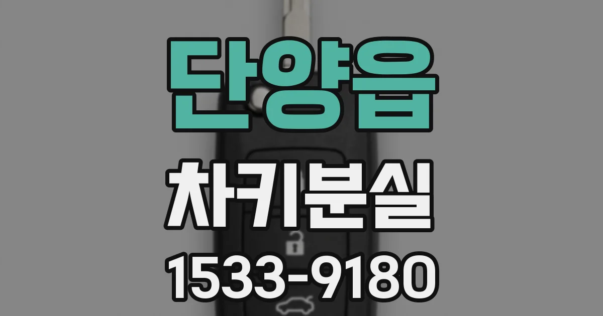 단양읍 차키분실