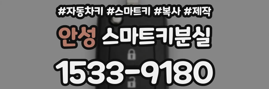 안성 스마트키분실