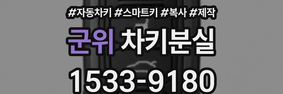 군위 차키분실