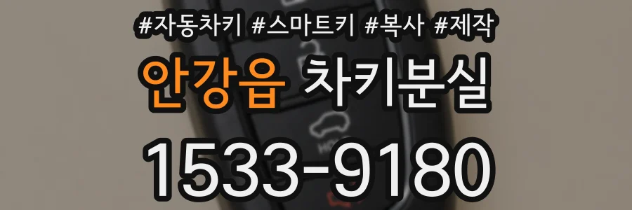 안강읍 차키분실