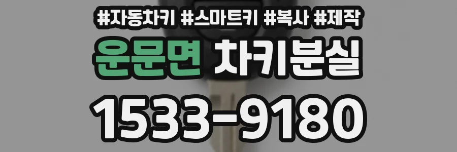 운문면 차키분실