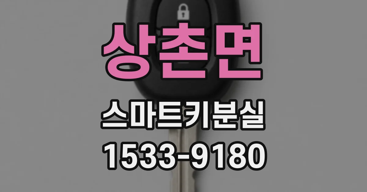 상촌면 스마트키분실