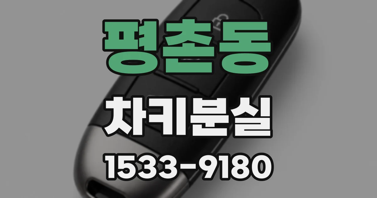 평촌동 차키분실