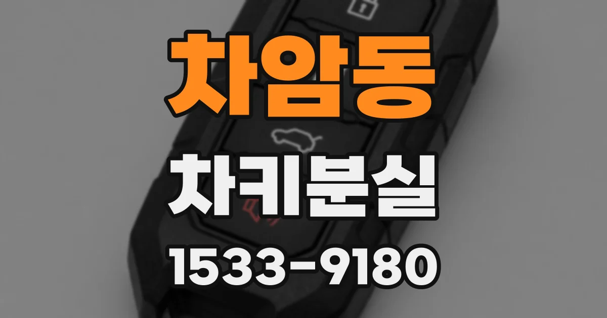 차암동 차키분실