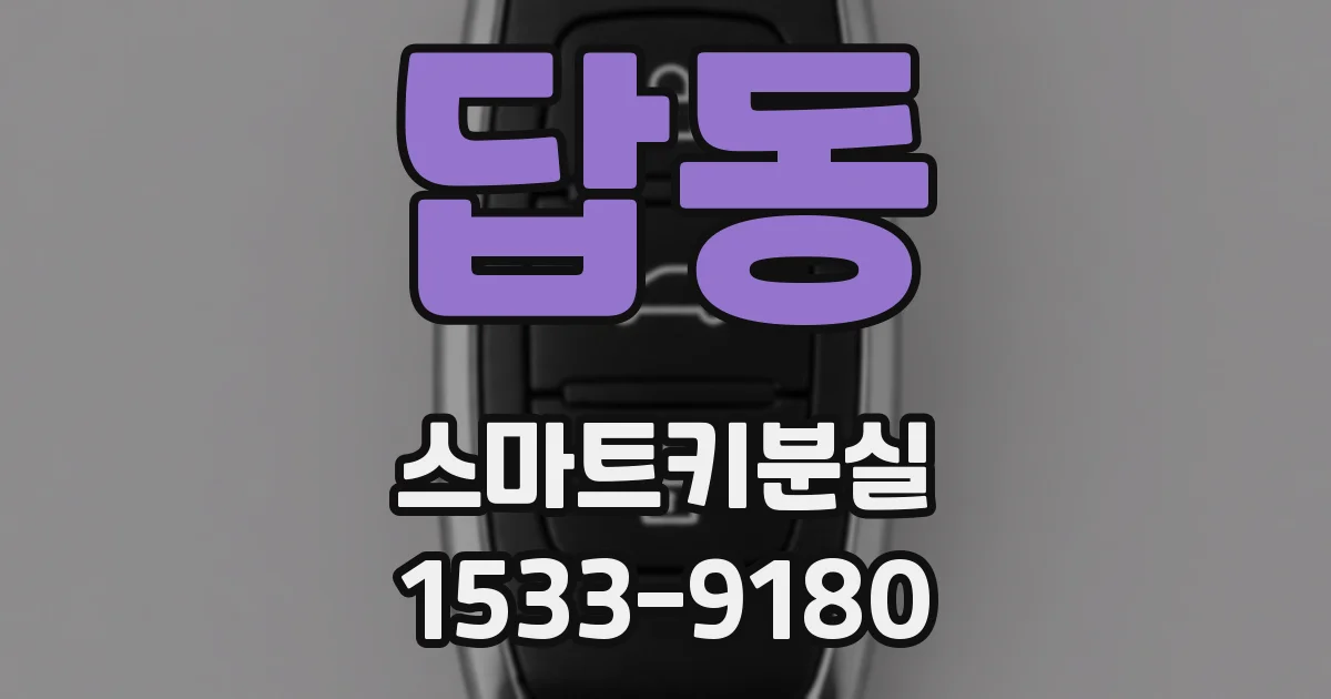 답동 스마트키분실