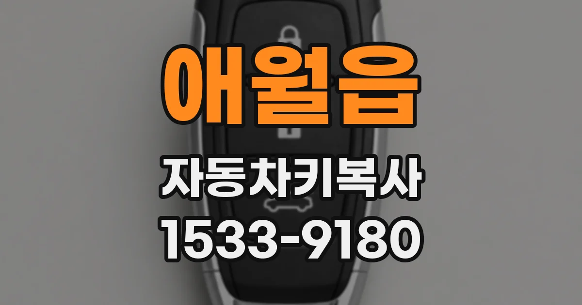 애월읍 자동차키복사