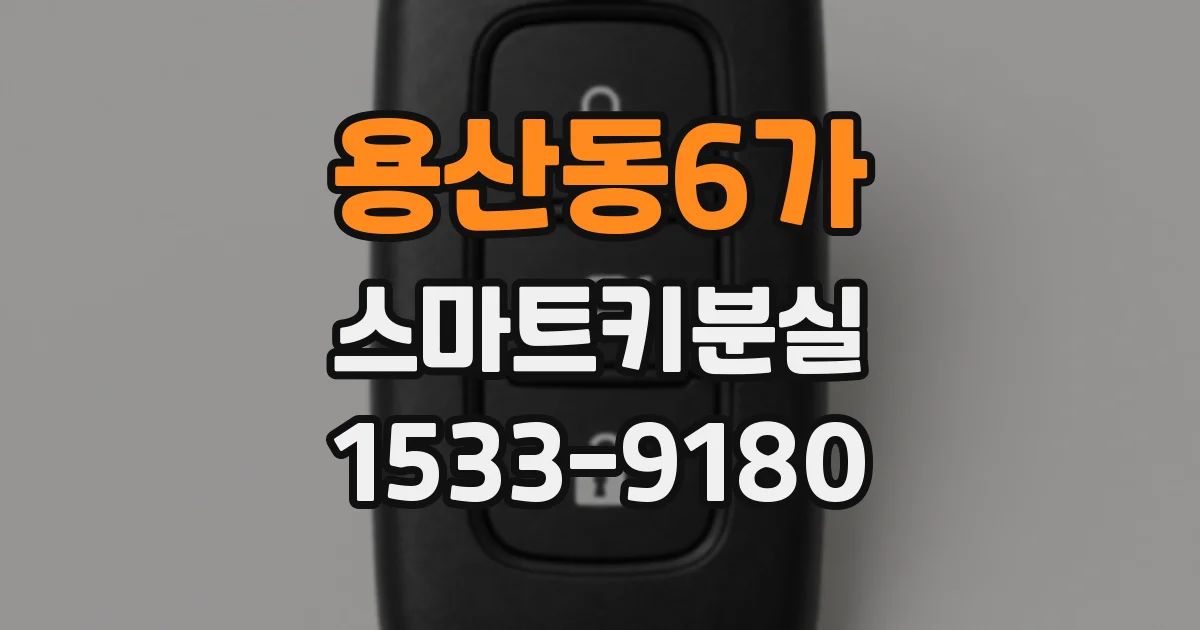용산동6가 스마트키분실