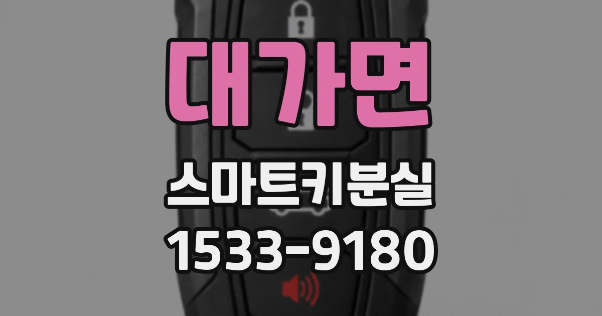 대가면 스마트키분실