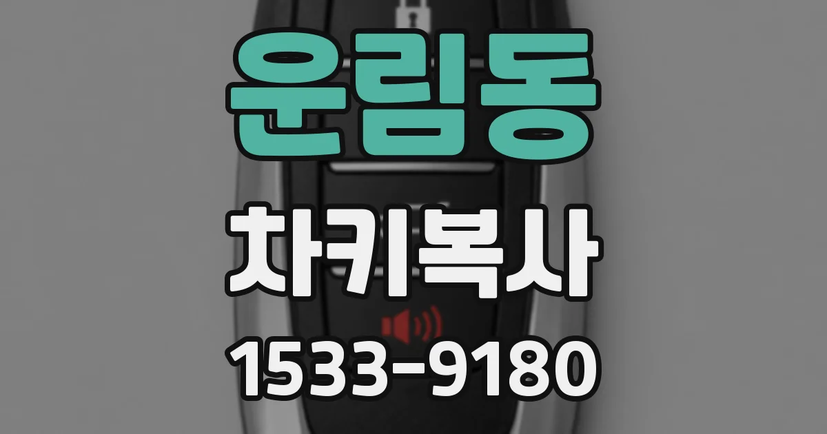운림동 차키복사