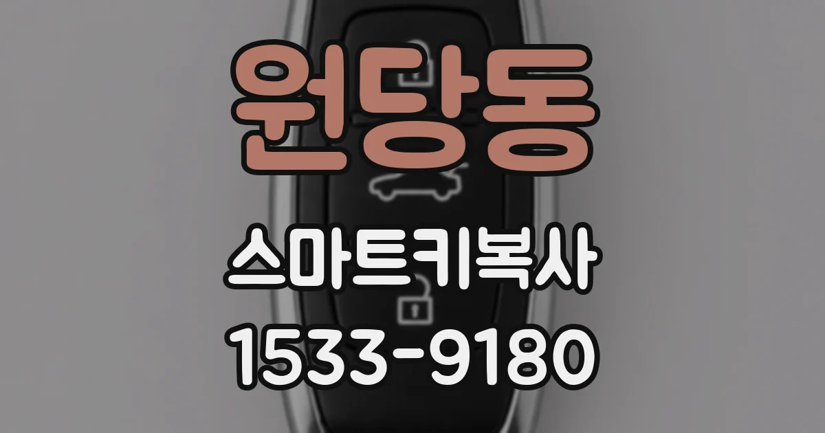 원당동 스마트키복사