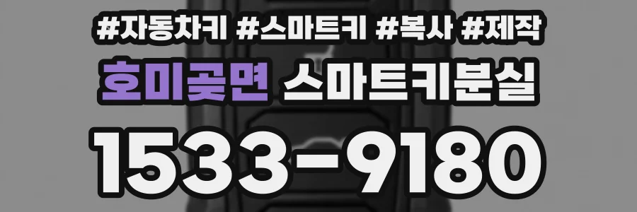 호미곶면 스마트키분실