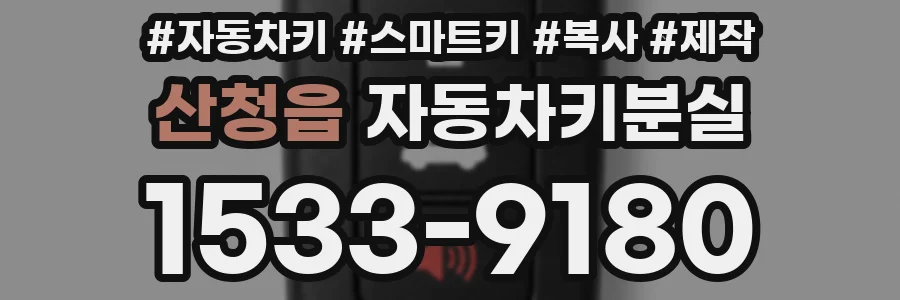 산청읍 자동차키분실