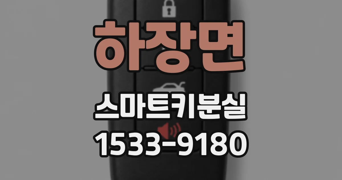 하장면 스마트키분실
