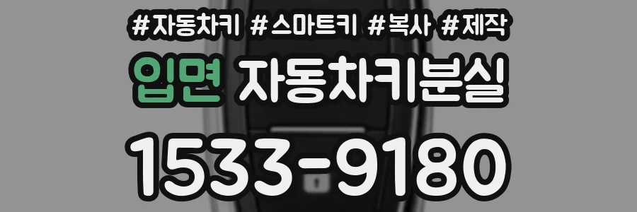 입면 자동차키분실