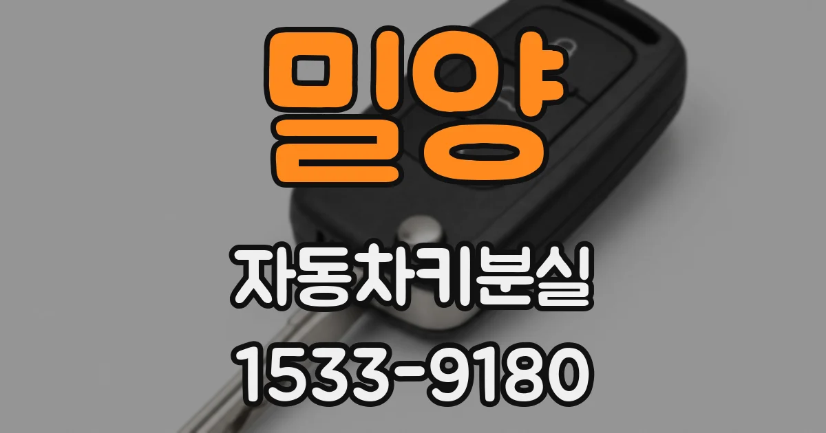 밀양 자동차키분실
