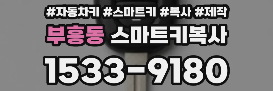 부흥동 스마트키복사