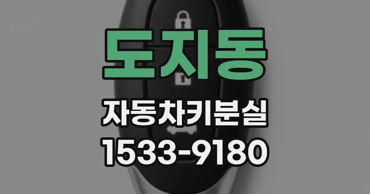 도지동 자동차키분실