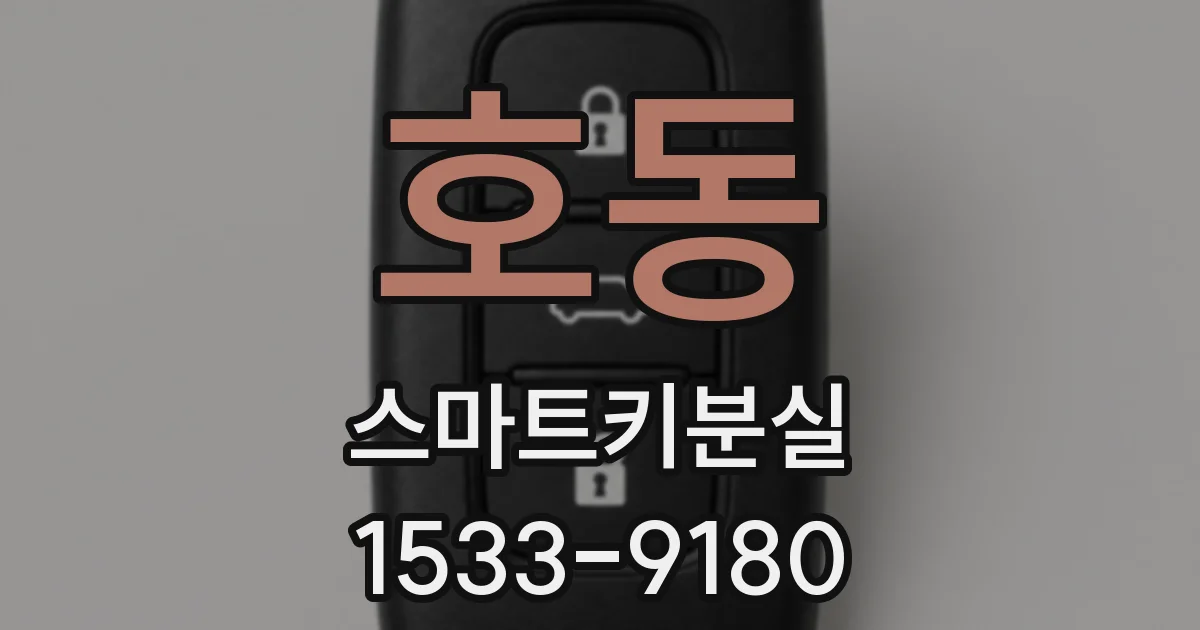 호동 스마트키분실