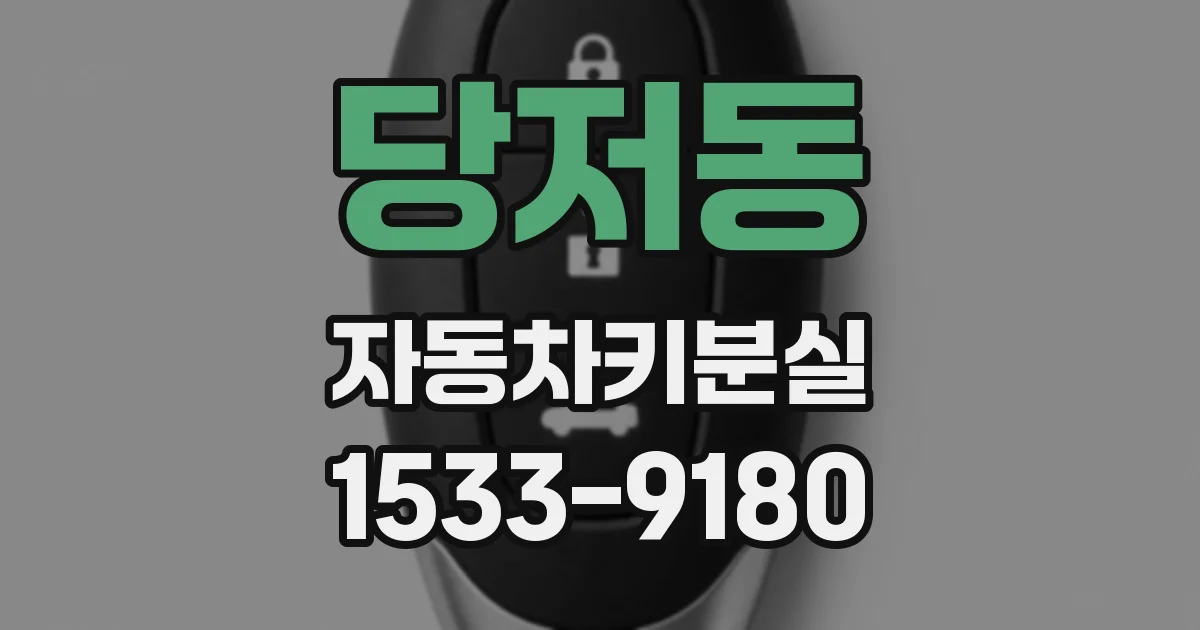 당저동 자동차키분실