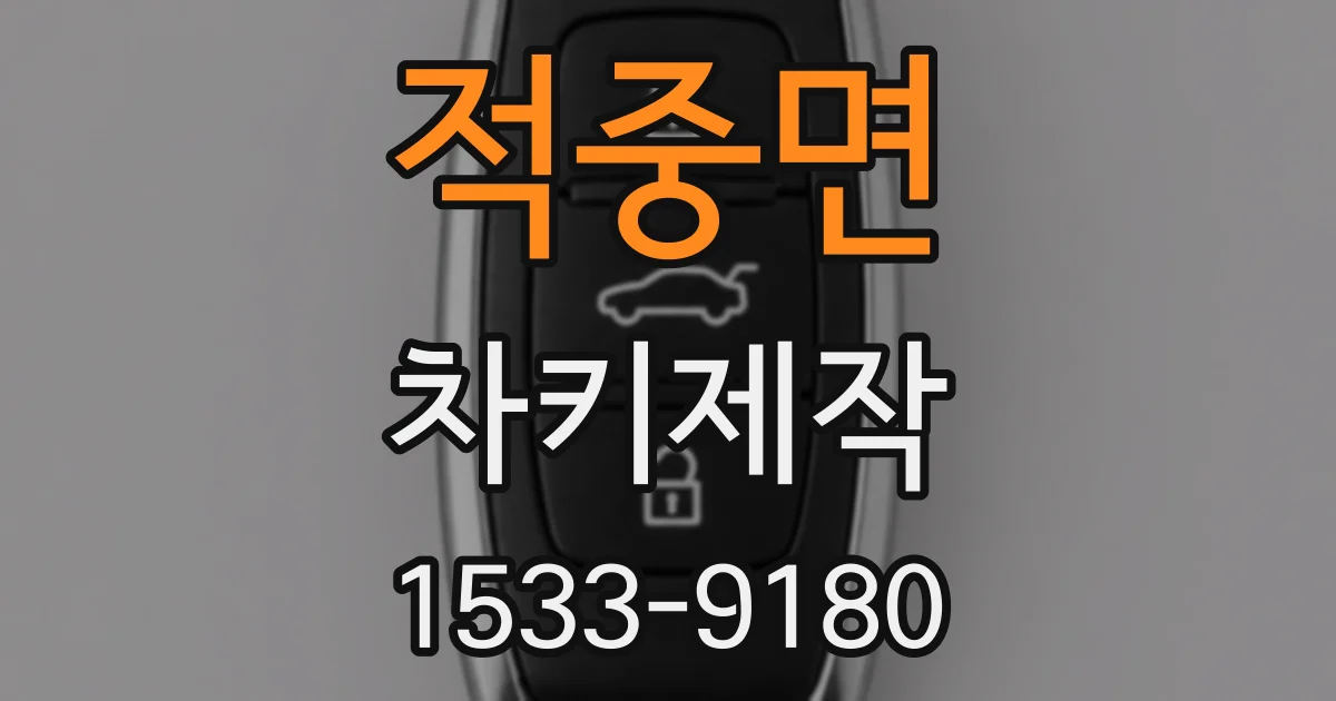 적중면 차키제작