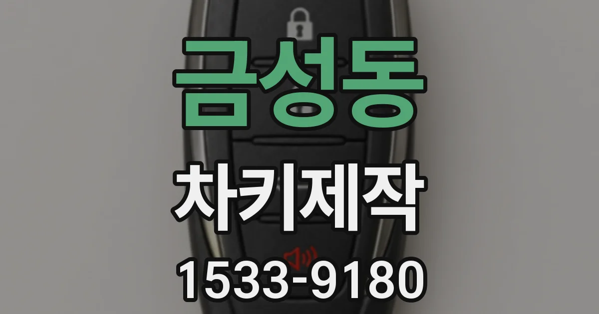 금성동 차키제작