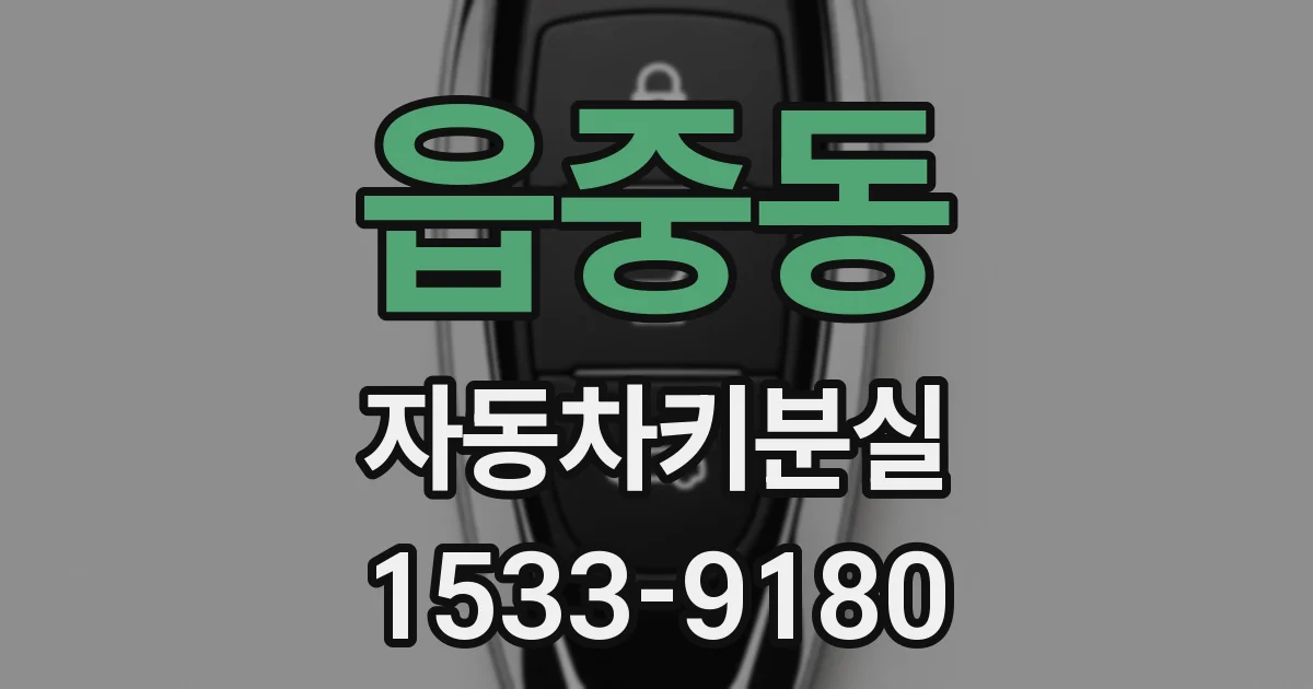 읍중동 자동차키분실